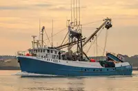 Purse seiner pārdošanā