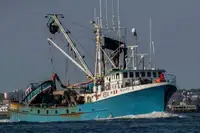 Purse seiner pārdošanā