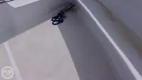 Niršanas atbalsta kuģis pārdod