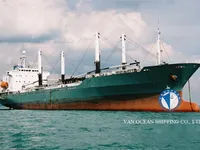 Reefer kuģis pārdod
