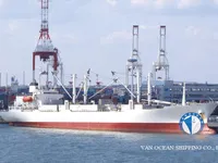 Reefer kuģis pārdod