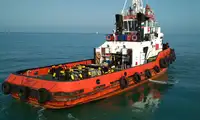 Velkonis pārdošanā