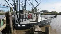 Trawler pārdošanā