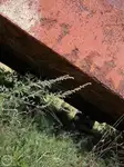 Bārža pārdod
