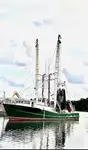Trawler pārdošanā