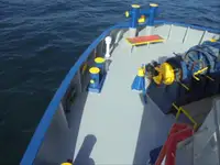 Reefer kuģis pārdod