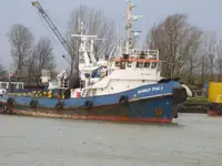 Velkonis pārdošanā