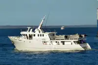 Trallers pārdod