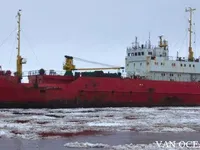 Reefer kuģis pārdod