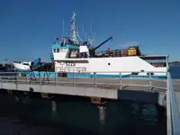 Trallers pārdod