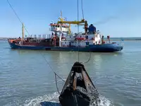 Dredžs pārdod