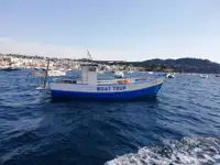 Trallers pārdod
