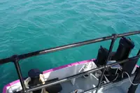General Cargo/Multi-purpose pārdod