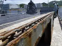 Beramkravu pārvadātājs pārdod