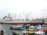Reefer kuģis pārdod