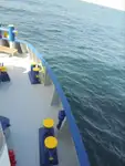 Reefer kuģis pārdod