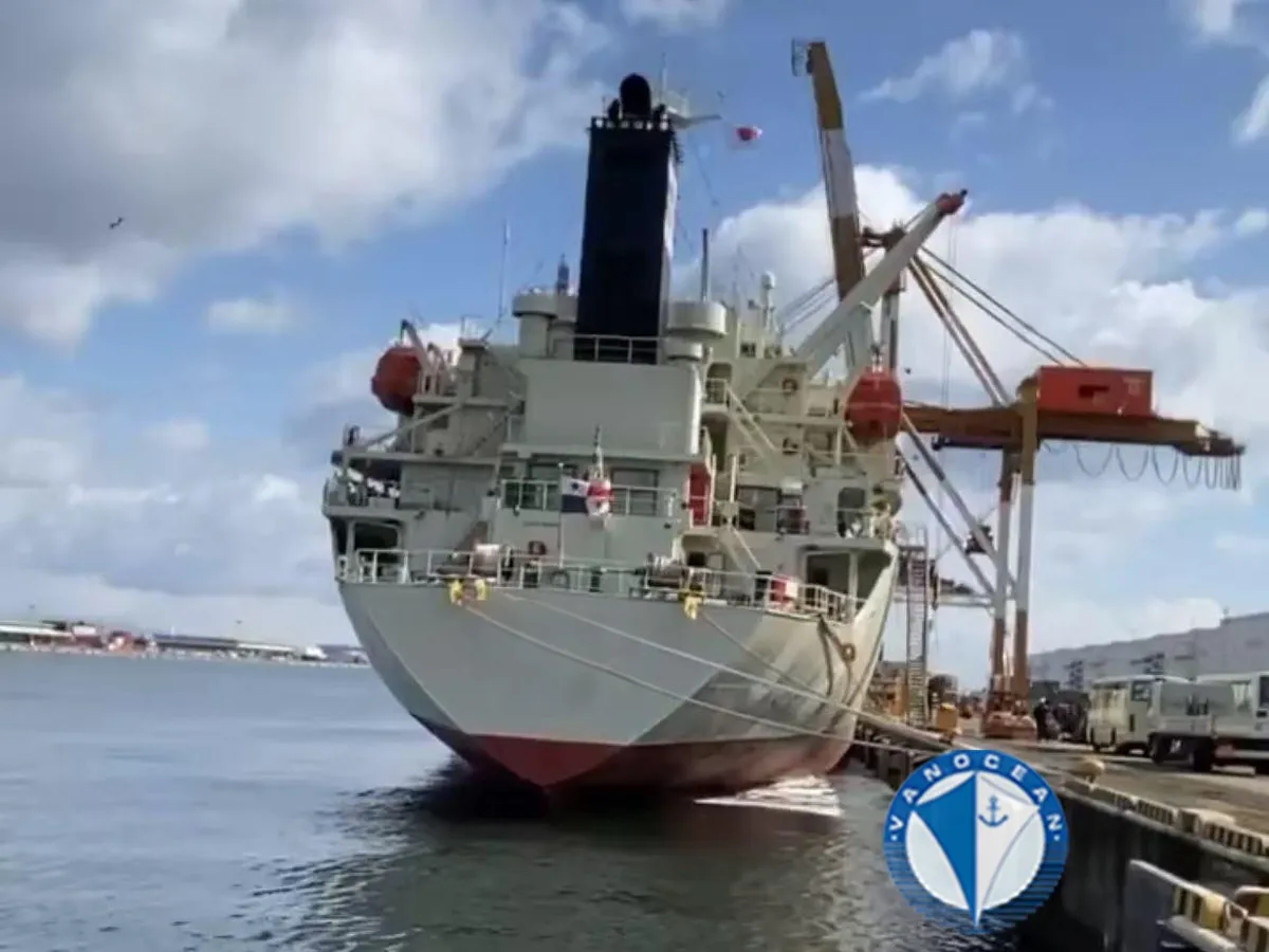 Reefer kuģis pārdod