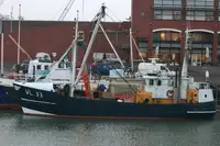 Trawler pārdošanā