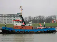 Velkonis pārdošanā