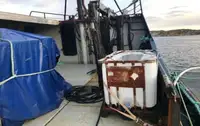 Trallers pārdod