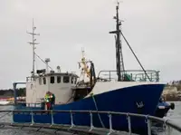 Trawler pārdošanā