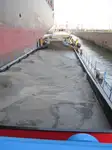 Bārža pārdod