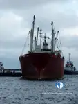 Reefer kuģis pārdod