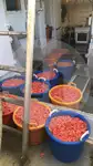 Staru trallera zvejas kuģis pārdod