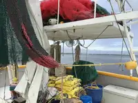 Trallers pārdod