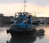 Velkonis pārdošanā