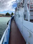 Vilcējs pārdod