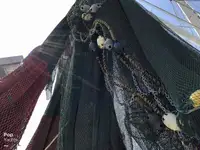 Trallers pārdod