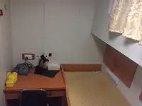 Vilcējs pārdod