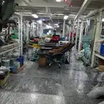 Purvotāju zvejas kuģis pārdod