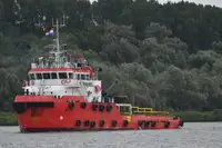 Vilcējs pārdod