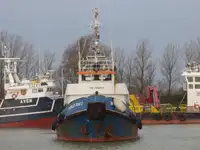 Velkonis pārdošanā