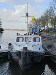 Velkonis pārdošanā