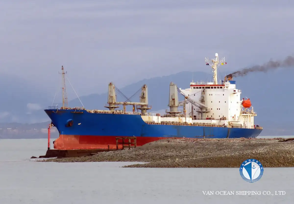 Reefer kuģis pārdod
