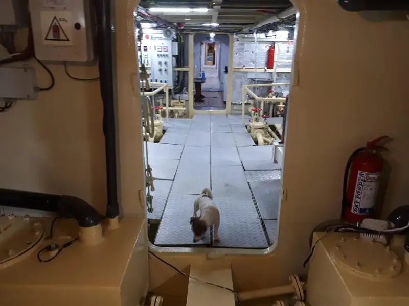 General Cargo/Multi-purpose pārdod