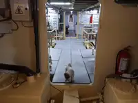General Cargo/Multi-purpose pārdod