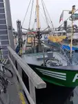 Trallers pārdod