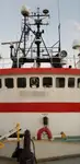 Reefer kuģis pārdod