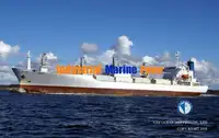 Reefer kuģis pārdod