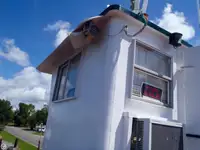 Vilcējs pārdod