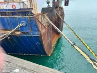 Trallers pārdod