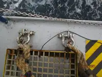 Reefer kuģis pārdod