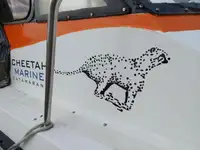Katamarāns pārdod