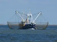 Trawler pārdošanā