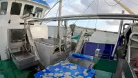 Staru trallera zvejas kuģis pārdod