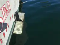 Trallers pārdod